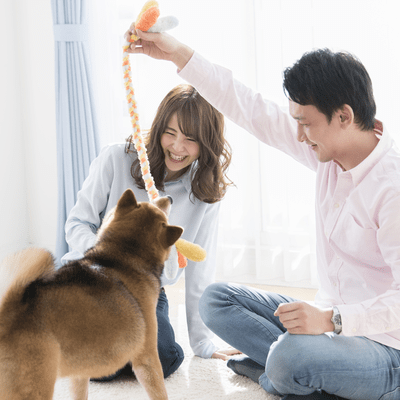 【26歳~38歳】<br>いぬねこ好きのための<br>婚活パーティ第一弾<br>いぬ好き集まれ!<br>『わんこんかつ』開催!